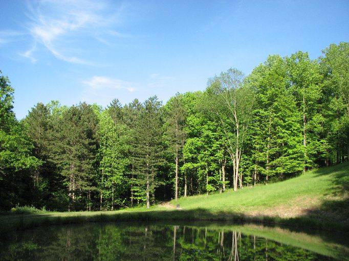 Lake